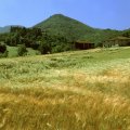 Nei pressi di Borgo S. Lorenzo